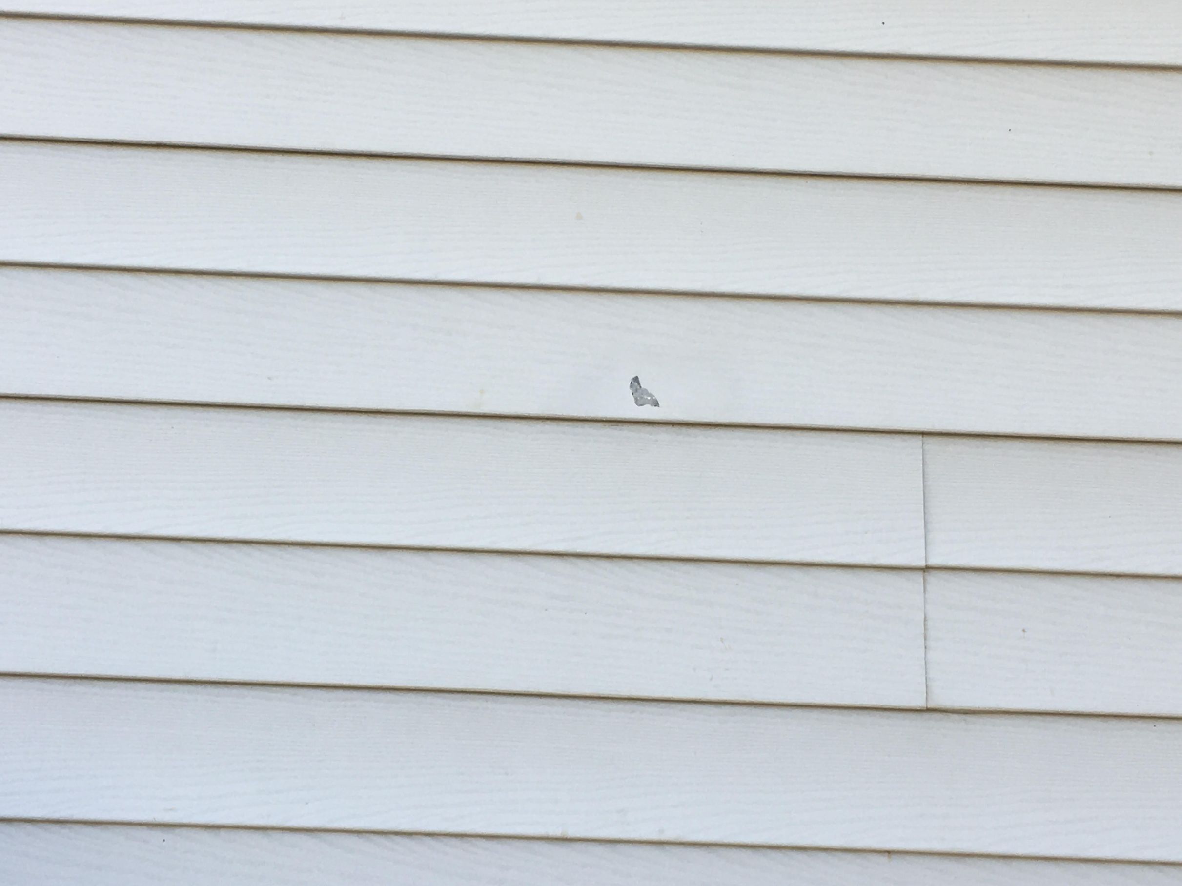 Damaged Siding